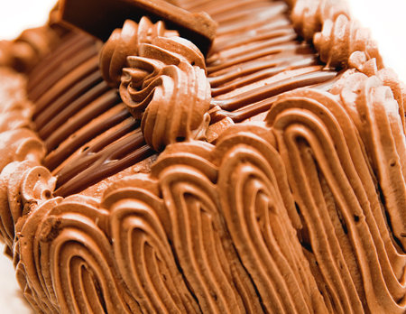 A close up of intricate detail of a chocolate torte cake. 