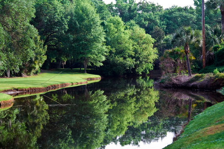 A waterway or pond in South Carolina - trees are reflected in the water. の写真素材