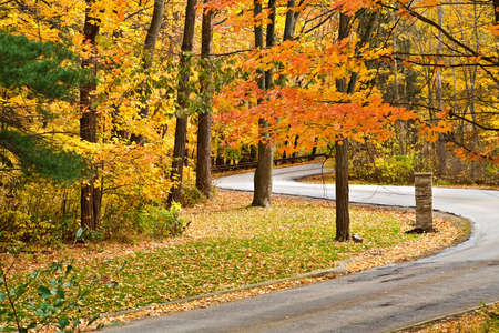A winding road curves through a autumn scenic park.の写真素材