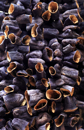Dried Eggplants, Istanbulの写真素材