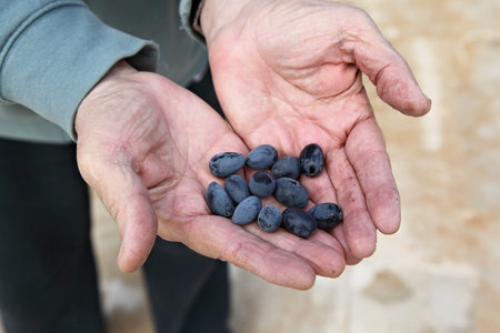 olives