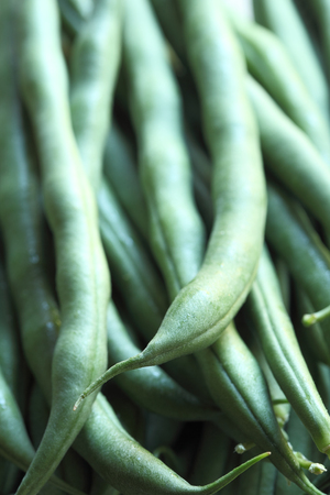 Green Beanの写真素材