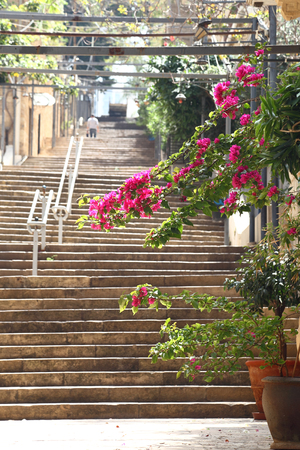 St Nicholas Stairway, Gemmayzeh - Lebanonの写真素材