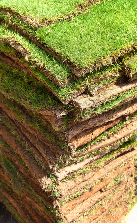 Grass turf sod squaresの写真素材