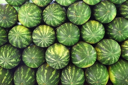 Watermelonsの写真素材