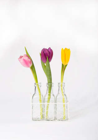 Postcard March 8の写真素材