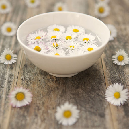 Daisies in essential essense - aromatherapy/aternative therapy concept - shallow dofの写真素材