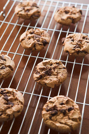 Chocolate chip cookies on a cooling rack - shallow dofの写真素材