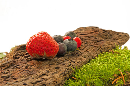 Fresh berry