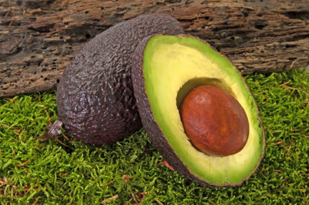 avocado