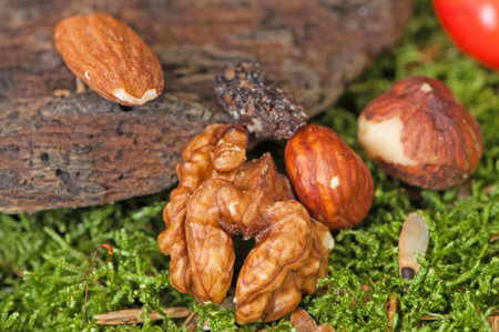 Nuts