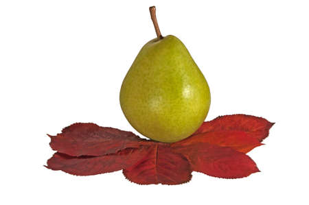 Pear and autumn red leafの写真素材
