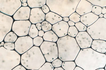 Nice blue glass grid over a blur backgroundの写真素材