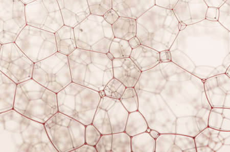 Beautiful red grass grid over a blur backgroundの写真素材