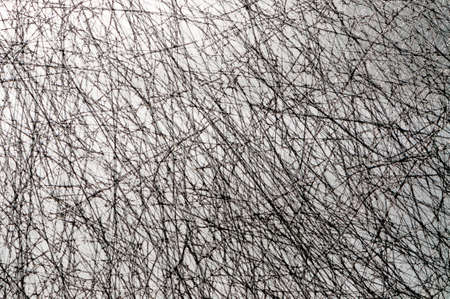 whitw glass fibers over a gray backgroundの写真素材