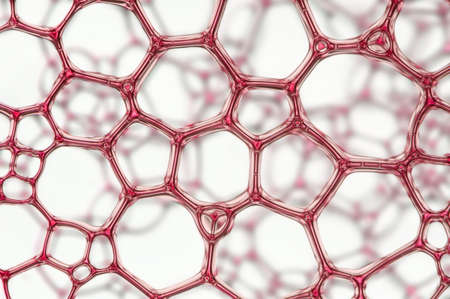 Nice red glass grid isolated over e blurred backgroundの写真素材