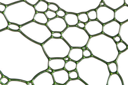 Green grid with many cells and shapes, isolated over e white backgroundの写真素材