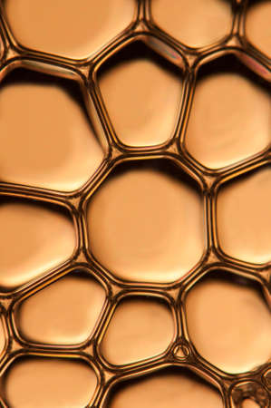 Nice golden brown lattice made with forms and cellsの写真素材