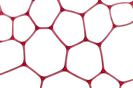 Beautiful red pattern isolated over a white backgroundの写真素材