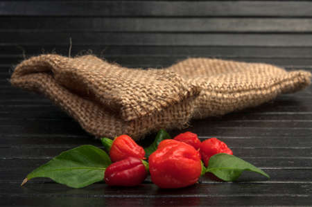 Red hot chili on black cutting boardの写真素材