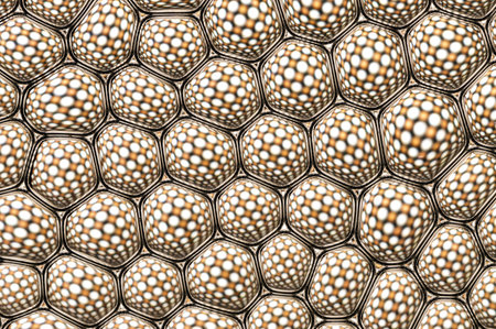 A beautiful white and yellow light pattern.の写真素材