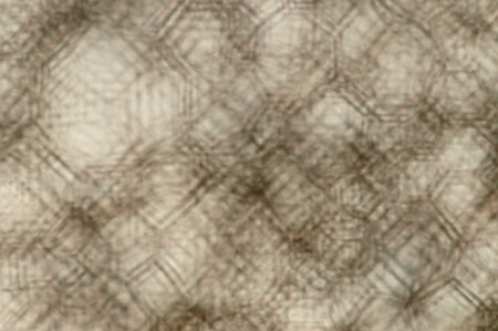 A nice blurred mesh picture