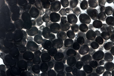 Many black caviar isolated over whiteの写真素材