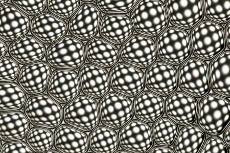 Many small black and white bubbles
