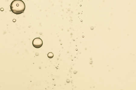 Beautiful fizz bubbles in a glass of champagneの写真素材