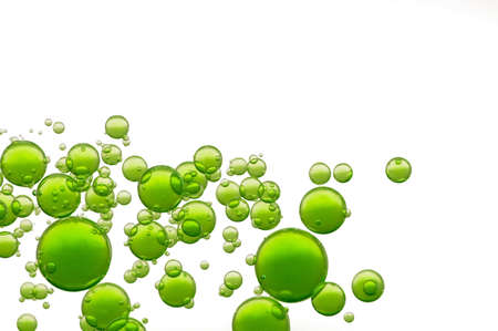 Green oil bubbles fly over a white backgroundの写真素材