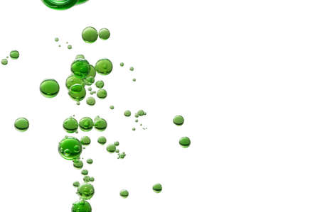 Nice green olive oil bubbles over a white backgroundの写真素材