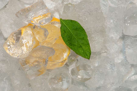 Citrus slice and a leaf laying in ice cubesの写真素材