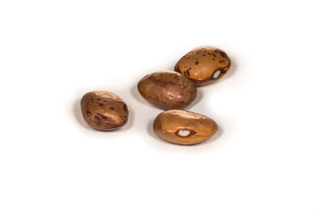 Four brown beans laying on a white table