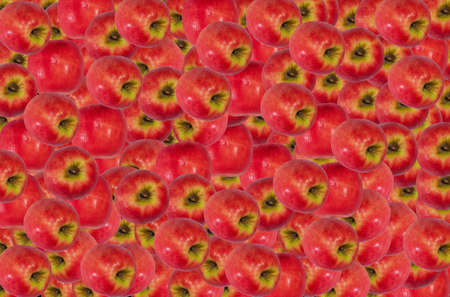 Many apples in red ang green color.の写真素材