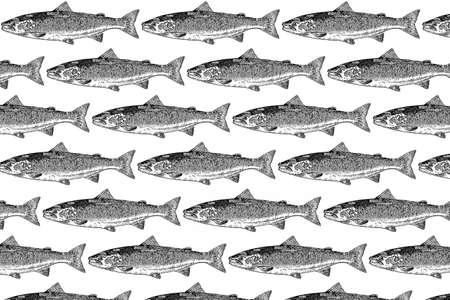 Black and white drawing of wild salmon.の写真素材