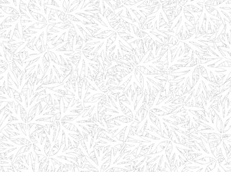 Line drawing. Leaf, mixed, black and white.の写真素材