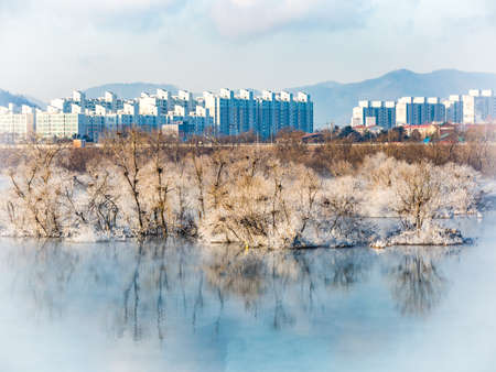 The mist of water on the early morning riverの写真素材