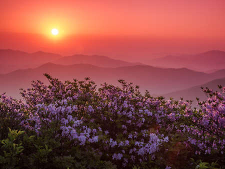 Sunrise in Deokyu-san-05の写真素材