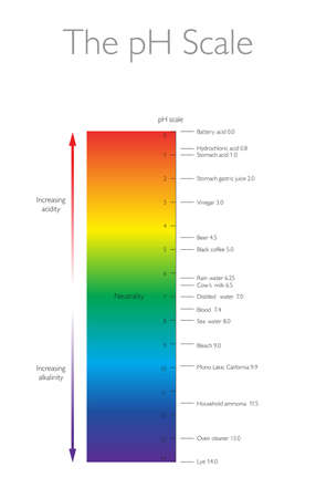 The pH Scale - Biology Chemistry Physics Education Vector Illustrationのイラスト素材