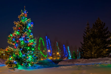 park decorated with lights for the winter holidays - Christmas and New Yearの写真素材