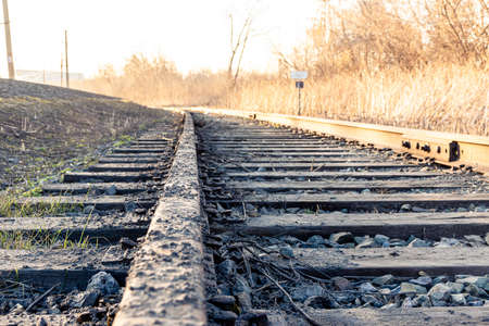 Old rusty rails covered with debris and dirt go into the distance for a turn in the spring forestの写真素材