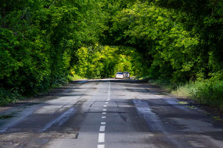 after rain, cars drive on a wet asphalt road through the forest converging into arches above the roadの写真素材