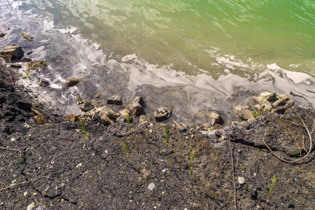 the shore of the tailing dump is washed by settled wastewater covered with dirty toxic foam