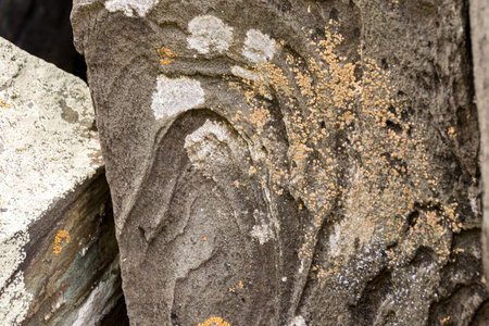 Sandstone stone is layered weathered and covered with white, gray and yellow lichens