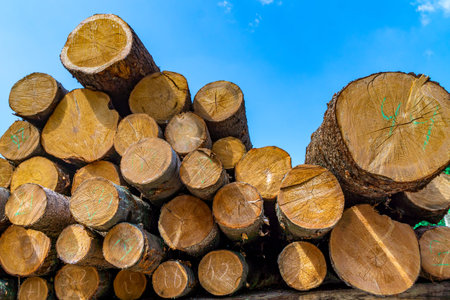 logs stacked in pallets in anticipation of sawing into high-quality lumber, selective focus