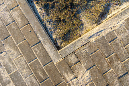 construction work during landscaping, the inner corner of the footpath enveloping the lawn, the sand...