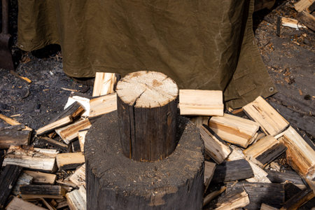 A single log on a stump, representing readiness for winter, human effort, and the cycle of nature's...