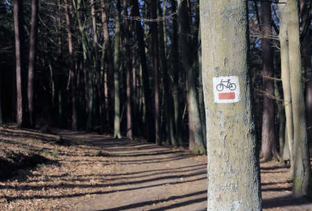 Marking a hiking trail on a tree in Gdynia, Polandの写真素材