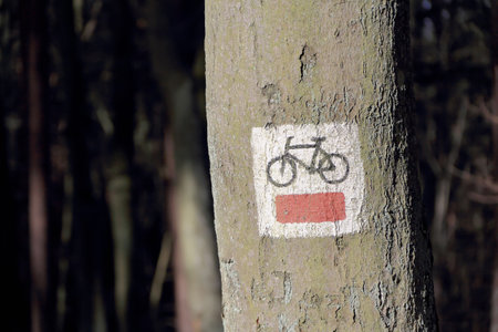 A sign designating a bicycle route in the forest in Polandの写真素材