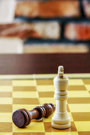 A victorious white king standing over a fallen brown oneの写真素材